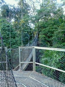 TK (GT) April - May 2010 326